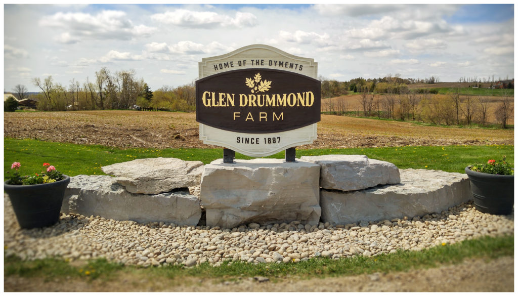 Sandblasted Cedar sign with Gold Leaf lettering and painted background